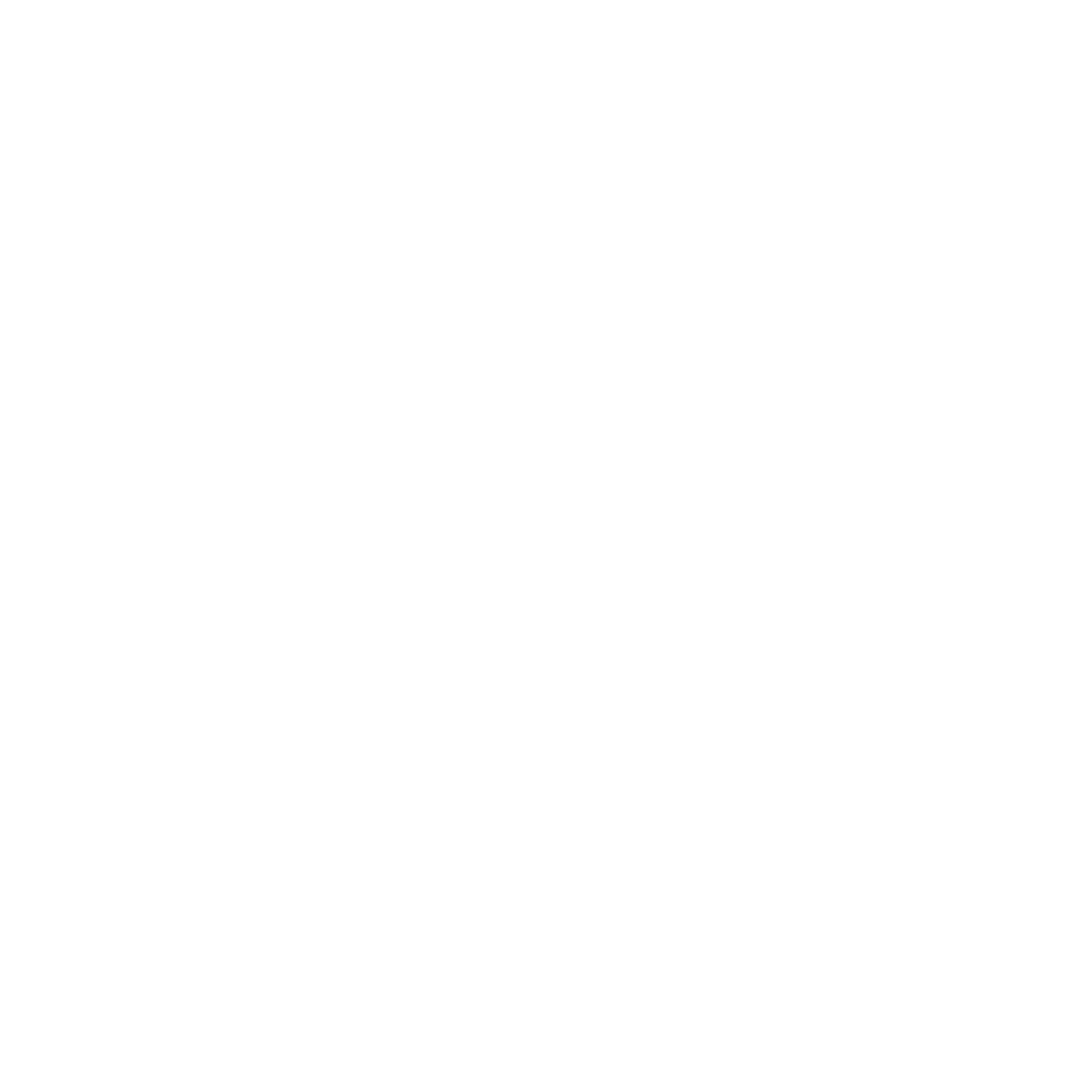 freedom founders logo